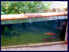 Universeum 18